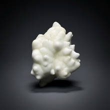 Load image into Gallery viewer, Superb White Flos Ferri Aragonite “Flower of Iron” Mineral Specimen | Lom Vitošov, Czech Republic