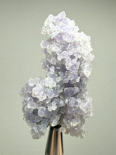 Load image into Gallery viewer, Indonesian Grape Agate (Botryoidal Purple Chalcedony) Display Specimen | Mamuju, West Sulawesi, Indonesia
