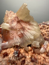 Load image into Gallery viewer, Rare Red Druzy Apophyllite with Red Stilbite Cluster | India | Collector Mineral Specimen