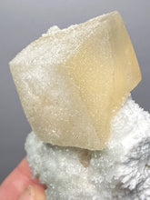 Load image into Gallery viewer, Rare Druzy Golden “Diamond” Calcite on Zeolite Matrix — Maharashtra, India | Collector Cabinet Specimen