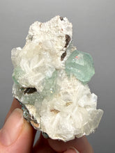 Load image into Gallery viewer, High-Grade Gemmy Green Apophyllite on White Stilbite | Deccan Traps, Maharashtra, India