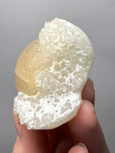 Load image into Gallery viewer, Rare Botryoidal Yellow Fluorite on Quartz Matrix Collector Mineral Specimen – Maharashtra, India