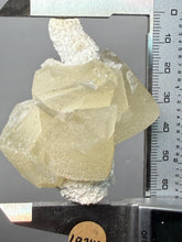 Load image into Gallery viewer, Rare Druzy Golden “Diamond” Calcite on Zeolite Matrix — Maharashtra, India | Collector Cabinet Specimen