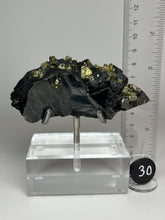 Load image into Gallery viewer, Cubic Galena, Sphalerite-Marmatite & Octahedral Golden Chalcopyrite from Bulgaria • Rare High Grade • Mineral Collector’s Specimen Showpiece