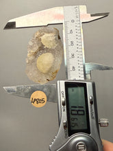 Load image into Gallery viewer, Rare Botryoidal Yellow Fluorite on Quartz Matrix Collector Mineral Specimen – Maharashtra, India
