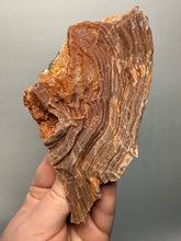 Load image into Gallery viewer, Chalcedony Quartz Rose Agate Collector Mineral Specimen – Morocco