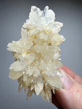 Load image into Gallery viewer, High-Grade Coral Aragonite Crystal Specimen – Wenshan Mine, Yunnan, China