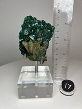 Load image into Gallery viewer, Dioptase Cluster from Congo • High Grade • Mineral Collector’s Specimen Showpiece