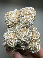 Load image into Gallery viewer, Desert Rose Selenite (Gypsum) — Mineral Display Specimen | Mexico