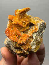 Load image into Gallery viewer, Natural Vanadinite on Matrix | Collector Mineral Specimen | Morocco