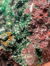 Load image into Gallery viewer, Brochantite Collector Mineral Specimen – Vivid Green Copper Crystals from Morocco