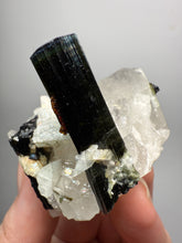 Load image into Gallery viewer, Blue Cap Dark Green Stak Nala Tourmaline and Quartz on Cleavelandite Matrix – Haramosh Mountains, Pakistan