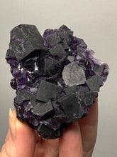 Load image into Gallery viewer, High-Grade Rare Purple-Green-Blue Cubic Fluorite | Cabinet Mineral Collector Specimen | Zhejiang Province, China