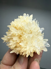 Load image into Gallery viewer, High-Grade Flower Coral Aragonite Crystal Specimen – Wenshan Mine, Yunnan, China