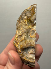 Load image into Gallery viewer, Premium Sumatra Agate (Banded Chalcedony) Display Specimen | Indonesia