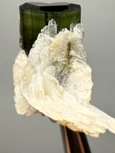 Load image into Gallery viewer, Green Cap Stak Nala Tourmaline with Cleavelandite – Haramosh Mountains, Pakistan | Thumbnail Specimen