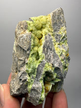 Load image into Gallery viewer, High-Grade Green Wavellite Collectors Specimen - Radiating Botryoidal Crystal Formation - Arkansas, USA
