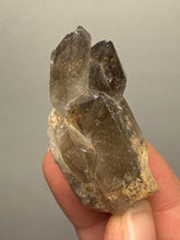 Load image into Gallery viewer, Smoky Quartz Crystal Specimen | Natural Collector Mineral – Brazil