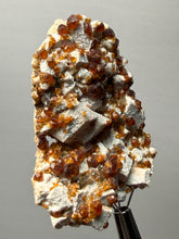 Load image into Gallery viewer, Hessonite Garnet on Feldspar | Mineral Collector Specimen | Pakistan