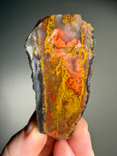 Load image into Gallery viewer, Pink Yellow Red Moroccan Agate | High Atlas Mountains •UNPOLISHED LAPIDARY SLAB