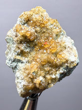 Load image into Gallery viewer, Hessonite Garnet Cluster on Matrix – Natural Collector Specimen from Pakistan | High-Grade Orange-Red Garnet Crystals