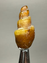 Load image into Gallery viewer, Agatized Gastropod Fossil Specimen | Morocco