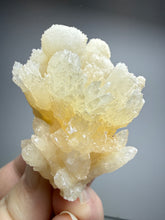 Load image into Gallery viewer, Golden Coral Aragonite Crystal Specimen – Wenshan Mine, Yunnan, China