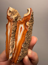 Load image into Gallery viewer, High-Grade Indonesian Sumatra Agate Pair – Vibrant Banded Chalcedony with Rich Color Zoning | Ethical Lapidary & Collector Display Specimens