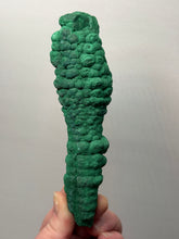 Load image into Gallery viewer, 6.1” High-Grade Malachite Stalactite Botryoidal “Cave” Formation | DR Congo | Mineral Collector Specimen