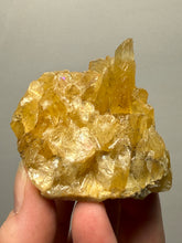 Load image into Gallery viewer, Golden Glow Calcite Cluster | Maharashtra, India