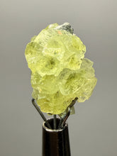 Load image into Gallery viewer, Vibrant Yellow Brucite Thumbnail Mineral Specimen | Collector Crystal from Killa Saifullah District in Balochistan Province, Pakistan