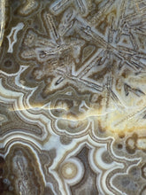 Load image into Gallery viewer, Mystical Turkish Stick & Eye Agate with Intriguing Inclusions – Great Banding and Eyes