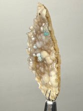 Load image into Gallery viewer, Blue-Green Chrysocolla in Botryoidal Chalcedony Cabinet Specimen | Indonesia