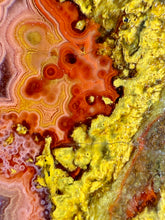 Load image into Gallery viewer, Pink Yellow Red Moroccan Agate | High Atlas Mountains •UNPOLISHED LAPIDARY SLAB