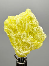 Load image into Gallery viewer, Vibrant Yellow Brucite Thumbnail Mineral Specimen | Collector Crystal from Killa Saifullah District in Balochistan Province, Pakistan