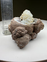 Load image into Gallery viewer, Hyalite Opal on Matrix • San Felipe Mine, Guanajuato, Mexico