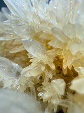 Load image into Gallery viewer, High-Grade Flower Coral Aragonite Crystal Specimen – Wenshan Mine, Yunnan, China