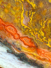 Load image into Gallery viewer, Pink Yellow Red Moroccan Agate | High Atlas Mountains •UNPOLISHED LAPIDARY SLAB