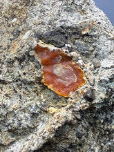 Load image into Gallery viewer, “Goblin Chalcedony” Pink & Orange Druzy Botryoidal Stalactites — Tichka Massif, High Atlas, Morocco
