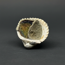 Load image into Gallery viewer, Bivalve (Pelecypoda) Fossil Sea Shell with Chalcopyrite | Mineralized Fossil Specimen | Indonesia