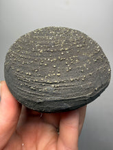 Load image into Gallery viewer, Pyrite Concretion Ball (Natural “Pyrite Sphere”) — Yunnan Province, China | Mineral Specimen
