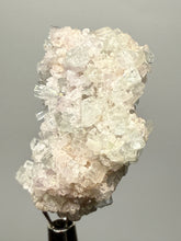 Load image into Gallery viewer, Light Purple Lepidolite with Light Green Tourmaline on Matrix – Pakistan Mineral Specimen | Collector Grade