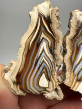 Load image into Gallery viewer, High-Grade Indonesian Sumatra Agate Pair – Vibrant Banded Chalcedony with Rich Color Zoning | Ethical Lapidary & Collector Display Specimens