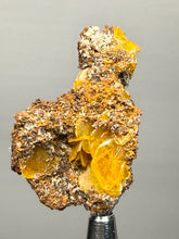 Load image into Gallery viewer, High-Grade Orange Wulfenite Collector Display Specimen | La Morita Mine, Chihuahua, Mexico