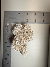Load image into Gallery viewer, Desert Rose Selenite (Gypsum) — Mineral Display Specimen | Mexico