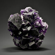 Load image into Gallery viewer, High-Grade Rare Purple-Green-Blue Cubic Fluorite | Cabinet Mineral Collector Specimen | Zhejiang Province, China