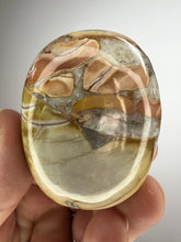 Load image into Gallery viewer, Cobra Jasper Palm Stone from India • High Grade
