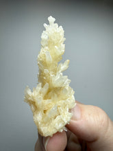 Load image into Gallery viewer, High-Grade Coral Aragonite Crystal Specimen – Wenshan Mine, Yunnan, China