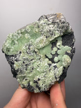 Load image into Gallery viewer, High-Grade Green Wavellite Collectors Specimen - Radiating Botryoidal Crystal Formation - Arkansas, USA