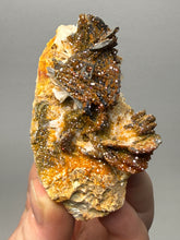 Load image into Gallery viewer, Natural Vanadinite on Matrix | Collector Mineral Specimen | Morocco